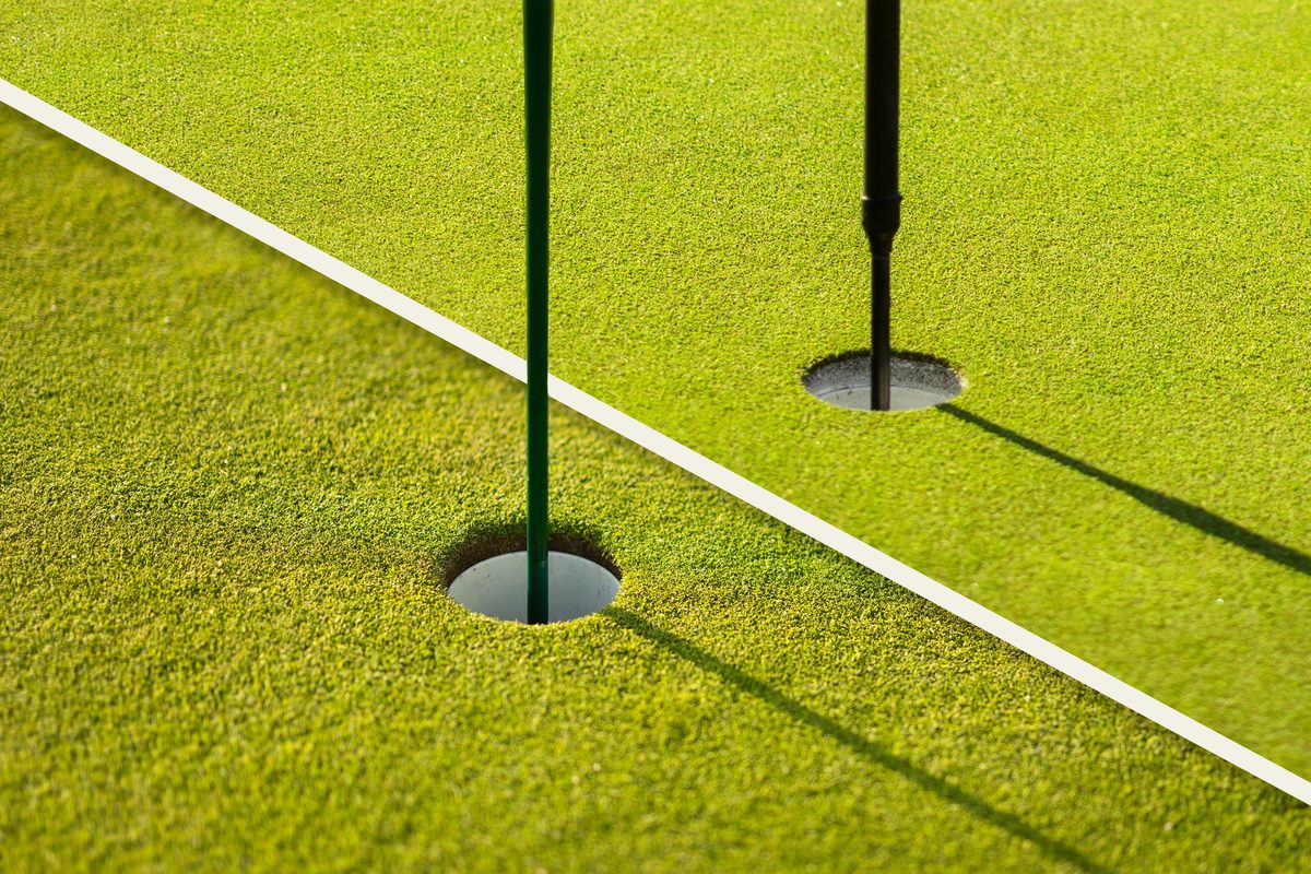Close-up of bermuda and bentgrass putting green showing different grass textures